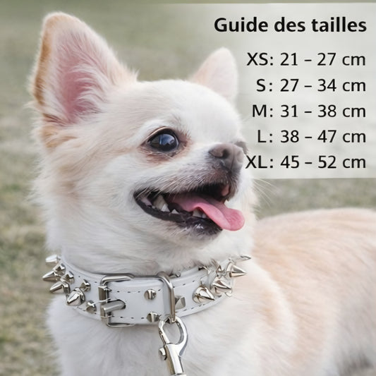 Collier punk chien