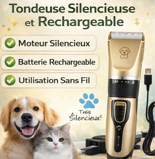 Kit de toilettage