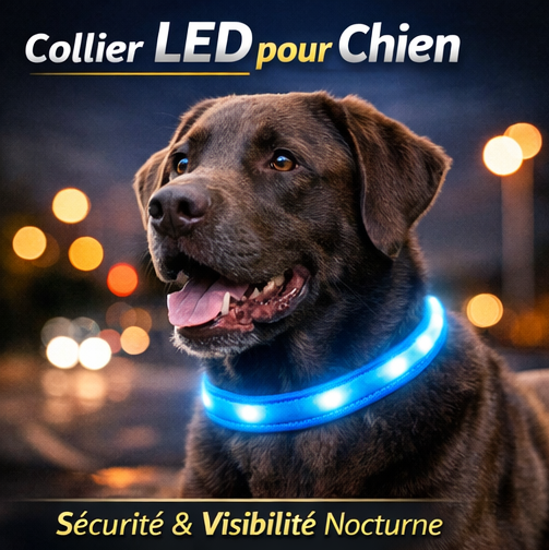 Collier LED