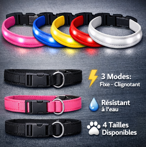 Collier LED