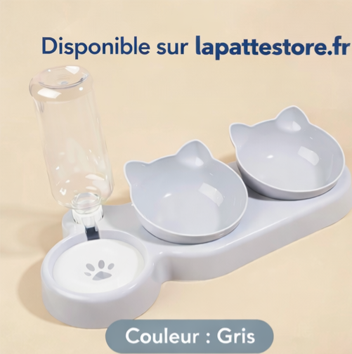 Gamelle 3 en 1 pour chat