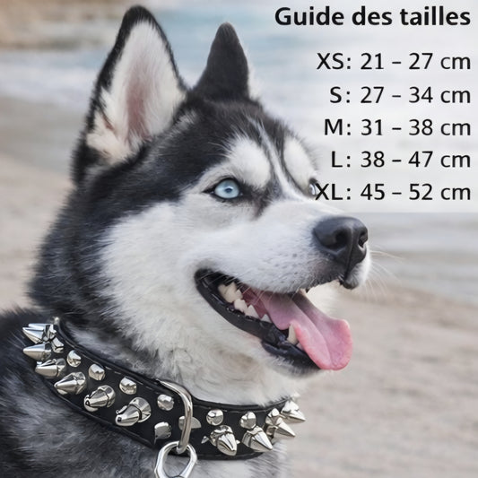 Collier punk chien