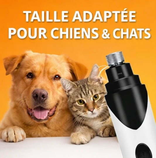 Coupe griffes électrique