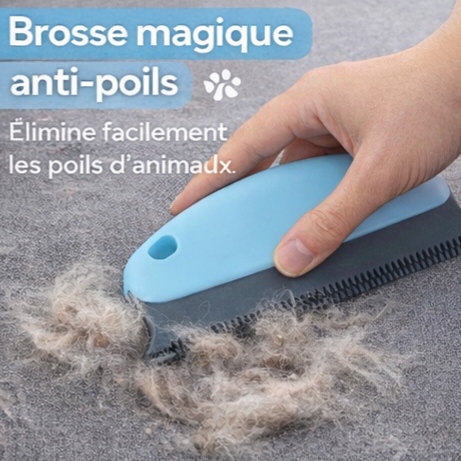 Brosse magique anti-poils
