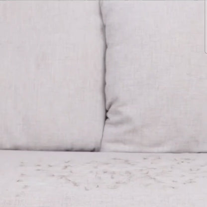 Brosse magique anti-poils