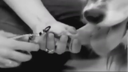 Coupe griffes électrique